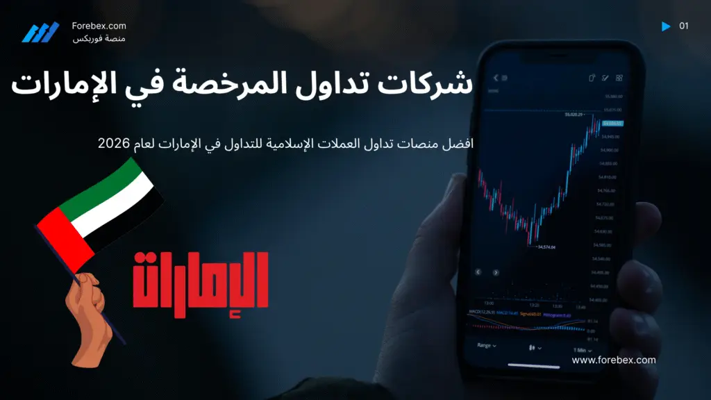 افضل شركات تداول العملات في الإمارات